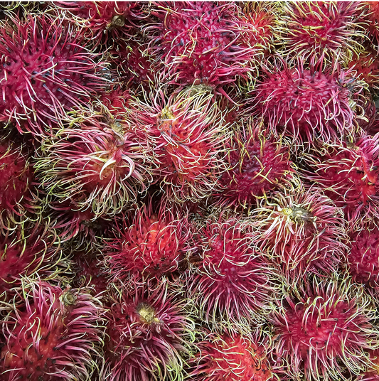 Rambutan Lichas de 5 libras $29.99