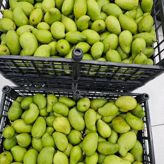 Mangos Tierno Fresco 3 Libras por $20.99